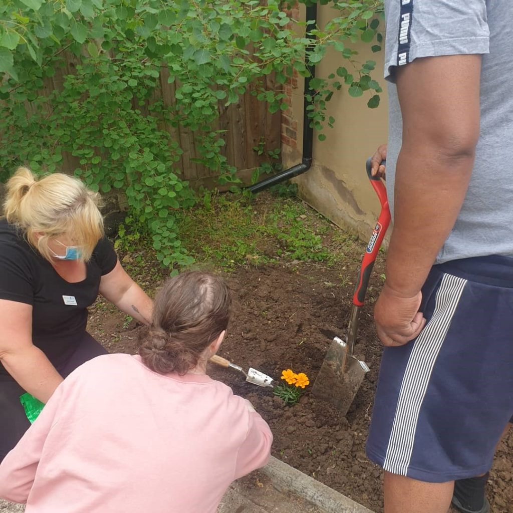 Gardening